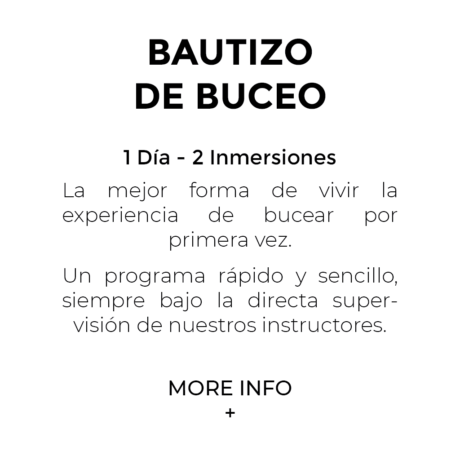 bautizo_es