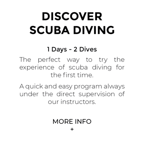 Discover Scuba Diving