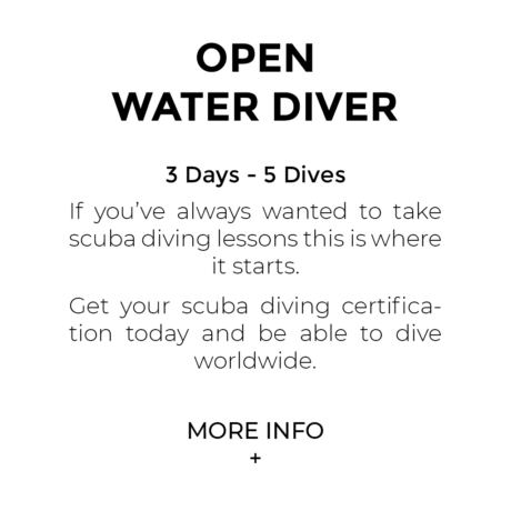 PADI Open Water Diver