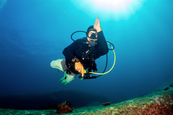 Shark Conservation in Costa Rica